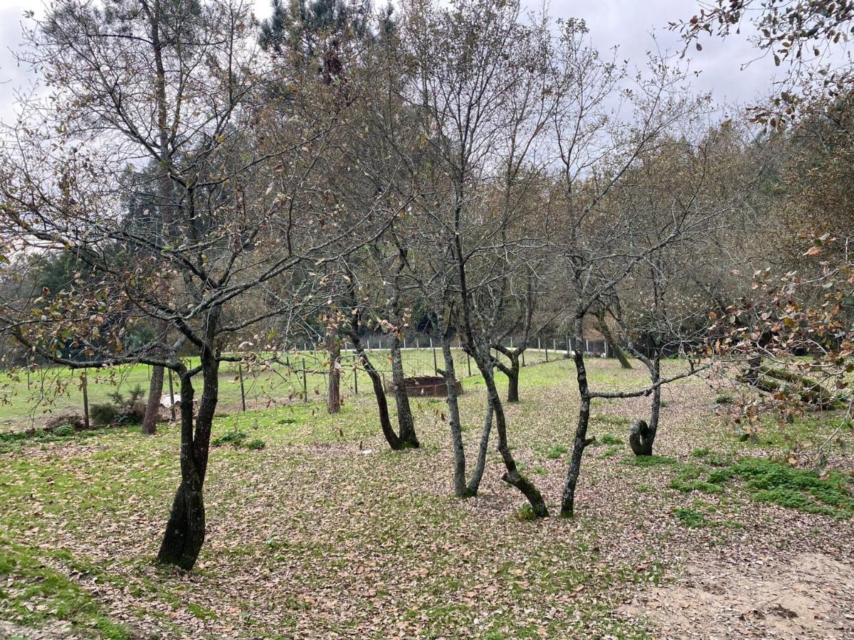 Quinas Playground Villa Souto da Carpalhosa Buitenkant foto